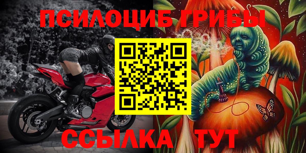Псилоцибиновые грибы Psilocybine cubensis Усолье-Сибирское