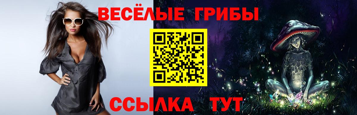Галлюциногенные грибы Psilocybine cubensis  Псилоцибиновые грибы Psilocybe  Усолье-Сибирское  Вход с VPN 